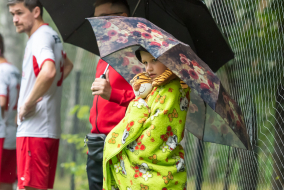 <a href="https://st.getinfootball.com/albums/1082699/64be2965e5473_1920.jpg" target="_blank">Завантажити оригінал</a>