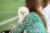 <a href="https://st.getinfootball.com/albums/1082738/64bfa0a5de4ce_1920.jpg" target="_blank">Завантажити оригінал</a>