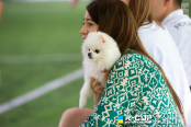 <a href="https://st.getinfootball.com/albums/1082738/64bfa0b888f15_1920.jpg" target="_blank">Завантажити оригінал</a>