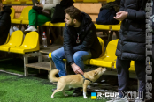 <a href="https://st.getinfootball.com/albums/1084831/655934ff9a4b9_1920.jpg" target="_blank">Завантажити оригінал</a>
