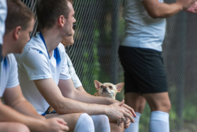 <a href="https://st.getinfootball.com/albums/1088888/66841fe2ec586_1920.jpg" target="_blank">Завантажити оригінал</a>
