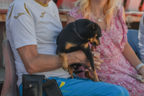 <a href="https://st.getinfootball.com/albums/1088909/66898065205dc_1920.jpg" target="_blank">Завантажити оригінал</a>