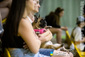 <a href="https://st.getinfootball.com/albums/1089360/66a8a3881411c_1920.jpg" target="_blank">Завантажити оригінал</a>