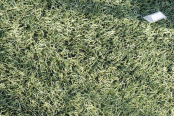 <a href="https://st.getinfootball.com/albums/1089751/66c726dd09517_1920.jpg" target="_blank">Завантажити оригінал</a>