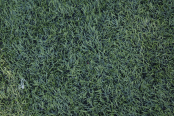 <a href="https://st.getinfootball.com/albums/1089751/66c72c019e30b_1920.jpg" target="_blank">Завантажити оригінал</a>