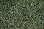 <a href="https://st.getinfootball.com/albums/1089751/66c72c32254f6_1920.jpg" target="_blank">Завантажити оригінал</a>