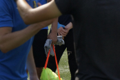 <a href="https://st.getinfootball.com/albums/1089751/66c730f050243_1920.jpg" target="_blank">Завантажити оригінал</a>