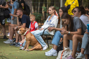 <a href="https://st.getinfootball.com/albums/1090056/66e5e1f7ae5e6_1920.jpg" target="_blank">Завантажити оригінал</a>