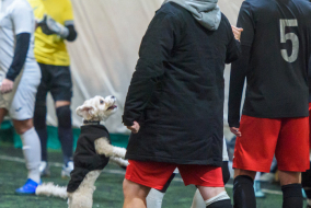 <a href="https://st.getinfootball.com/albums/1091710/6756cd09a4ff9_1920.jpg" target="_blank">Завантажити оригінал</a>