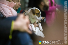 <a href="https://st.getinfootball.com/albums/1093232/67c8763ba136e_1920.jpg" target="_blank">Завантажити оригінал</a>