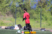 <a href="https://st.getinfootball.com/albums/1094276/68127c757e2e8_1920.jpg" target="_blank">Завантажити оригінал</a>
