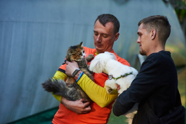 <a href="https://st.getinfootball.com/albums/1094331/681562f70a839_1920.jpg" target="_blank">Завантажити оригінал</a>