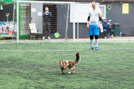 <a href="https://st.getinfootball.com/albums/1094448/681ba91eef182_1920.jpg" target="_blank">Завантажити оригінал</a>
