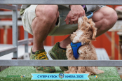 <a href="https://st.getinfootball.com/albums/1094858/68357ad956399_1920.jpg" target="_blank">Завантажити оригінал</a>