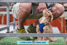 <a href="https://st.getinfootball.com/albums/1094858/68357ad956399_1920.jpg" target="_blank">Завантажити оригінал</a>