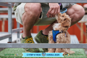 <a href="https://st.getinfootball.com/albums/1094858/68357adb56ac8_1920.jpg" target="_blank">Завантажити оригінал</a>