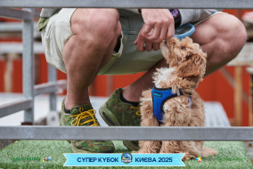<a href="https://st.getinfootball.com/albums/1094858/68357adb56ac8_1920.jpg" target="_blank">Завантажити оригінал</a>