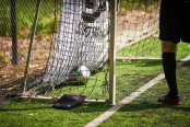 <a href="https://st.getinfootball.com/albums/1095140/68430b15447ed_1920.jpg" target="_blank">Завантажити оригінал</a>