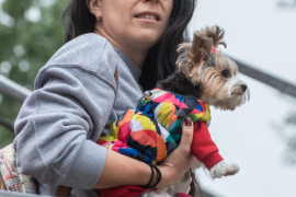 <a href="https://st.getinfootball.com/albums/1095514/6859a6a63a41c_1920.jpg" target="_blank">Завантажити оригінал</a>