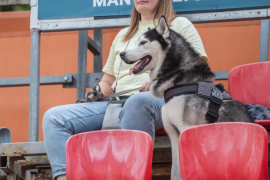 <a href="https://st.getinfootball.com/albums/1095521/6859a8653c994_1920.jpg" target="_blank">Завантажити оригінал</a>
