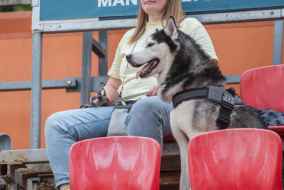 <a href="https://st.getinfootball.com/albums/1095521/6859a8653c994_1920.jpg" target="_blank">Завантажити оригінал</a>