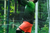 <a href="https://st.getinfootball.com/albums/1095605/685ea39a56dc6_1920.jpg" target="_blank">Завантажити оригінал</a>