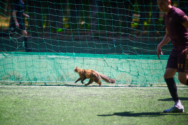<a href="https://st.getinfootball.com/albums/1096004/68794734b67a5_1920.jpg" target="_blank">Завантажити оригінал</a>
