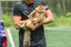 <a href="https://st.getinfootball.com/albums/1096037/687e215033663_1920.jpg" target="_blank">Завантажити оригінал</a>