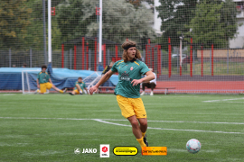 <a href="https://st.getinfootball.com/albums/1096077/687f4043856bb_1920.jpg" target="_blank">Завантажити оригінал</a>