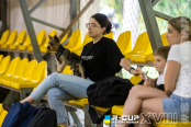 <a href="https://st.getinfootball.com/albums/1096128/688255679cc3a_1920.jpg" target="_blank">Завантажити оригінал</a>