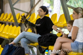 <a href="https://st.getinfootball.com/albums/1096128/688255679cc3a_1920.jpg" target="_blank">Завантажити оригінал</a>