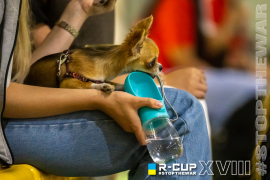 <a href="https://st.getinfootball.com/albums/1096140/68828d2a6a90d_1920.jpg" target="_blank">Завантажити оригінал</a>