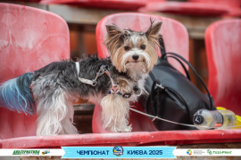 <a href="https://st.getinfootball.com/albums/1096226/6887dde9511eb_1920.jpg" target="_blank">Завантажити оригінал</a>