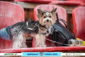 <a href="https://st.getinfootball.com/albums/1096226/6887dde9511eb_1920.jpg" target="_blank">Завантажити оригінал</a>