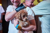 <a href="https://st.getinfootball.com/albums/1096345/6891cb0a70793_1920.jpg" target="_blank">Завантажити оригінал</a>