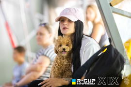 <a href="https://st.getinfootball.com/albums/1096888/68b858629b71b_1920.jpg" target="_blank">Завантажити оригінал</a>
