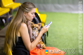 <a href="https://st.getinfootball.com/albums/1096895/68b89749ce127_1920.jpg" target="_blank">Завантажити оригінал</a>