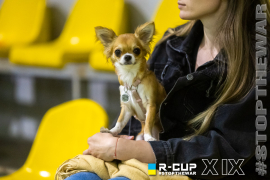 <a href="https://st.getinfootball.com/albums/1096994/68c008fa69f17_1920.jpg" target="_blank">Завантажити оригінал</a>