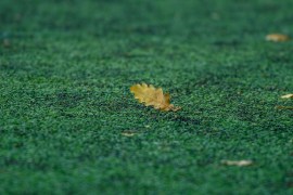 <a href="https://st.getinfootball.com/albums/1097312/68d2c8ec7ffdc_1920.jpg" target="_blank">Завантажити оригінал</a>