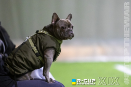 <a href="https://st.getinfootball.com/albums/1097645/68e4e08746a24_1920.jpg" target="_blank">Завантажити оригінал</a>
