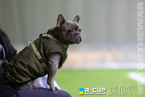 <a href="https://st.getinfootball.com/albums/1097645/68e4e08746a24_1920.jpg" target="_blank">Завантажити оригінал</a>