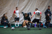 <a href="https://st.getinfootball.com/albums/1098516/69142e78961a6_1920.jpg" target="_blank">Завантажити оригінал</a>