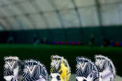 <a href="https://st.getinfootball.com/albums/1098865/692c7bec1568a_1920.jpeg" target="_blank">Завантажити оригінал</a>