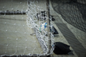 <a href="https://st.getinfootball.com/albums/1098955/6934de426dde1_1920.jpg" target="_blank">Завантажити оригінал</a>