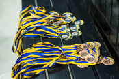 <a href="https://st.getinfootball.com/albums/1098959/69372214c6ace_1920.jpg" target="_blank">Завантажити оригінал</a>