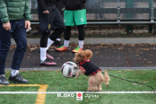 <a href="https://st.getinfootball.com/albums/1099164/6946d7913e257_1920.jpg" target="_blank">Download original</a>
