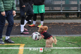 <a href="https://st.getinfootball.com/albums/1099164/6946d7913e257_1920.jpg" target="_blank">Download original</a>
