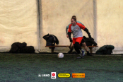 <a href="https://st.getinfootball.com/albums/1099346/6952f2d3d31a8_1920.jpg" target="_blank">Завантажити оригінал</a>