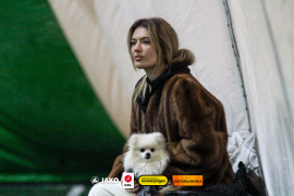 <a href="https://st.getinfootball.com/albums/1099635/6973d9dc26b0a_1920.jpg" target="_blank">Завантажити оригінал</a>