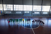 <a href="https://st.getinfootball.com/albums/1099846/698604cd98393_1920.jpg" target="_blank">Завантажити оригінал</a>